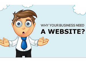 Read more about the article Why Your Business need a Professional Website